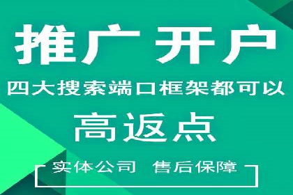 SEM专员如何提升广告投放效果的真实案例